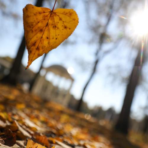 Photo #6636590