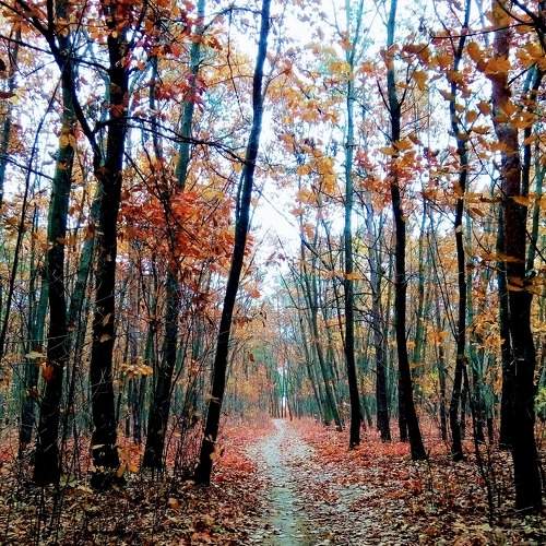 Photo #6636666
