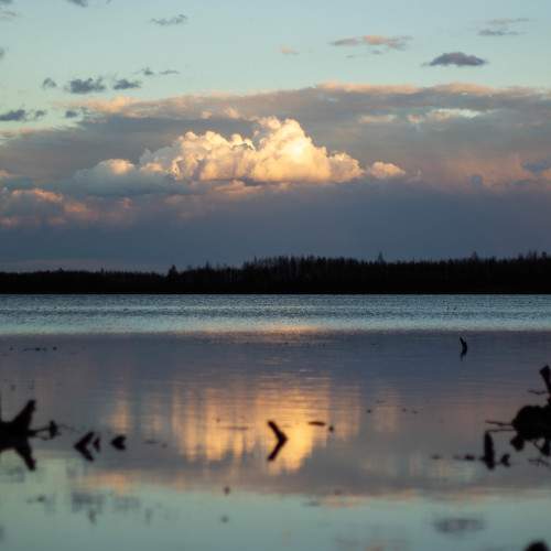 Photo #6636757