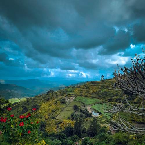 Photo #6636987