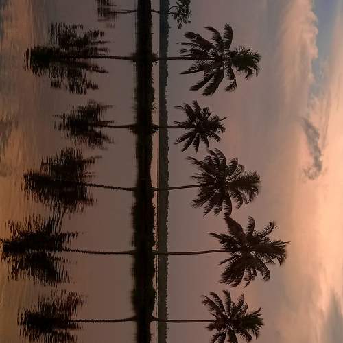 Photo #6637081