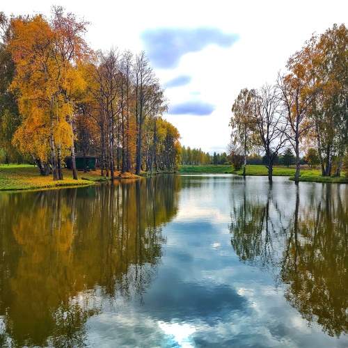 Photo #6637261