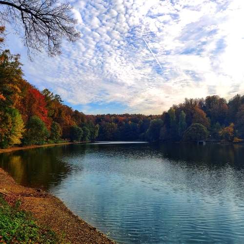 Photo #6637266