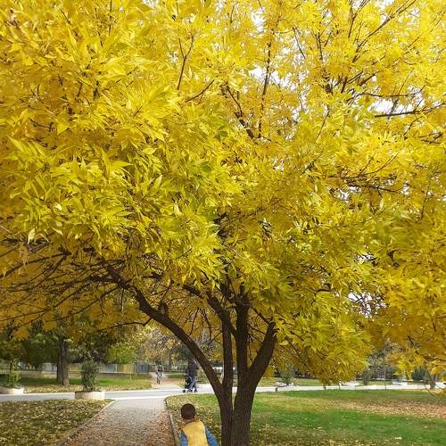 Photo #6637398