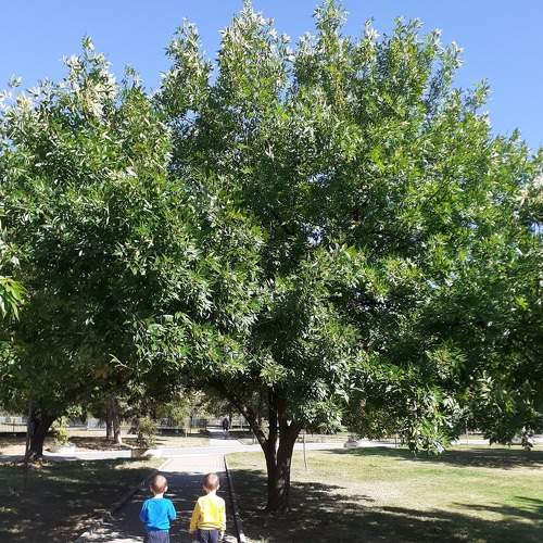 Photo #6637433