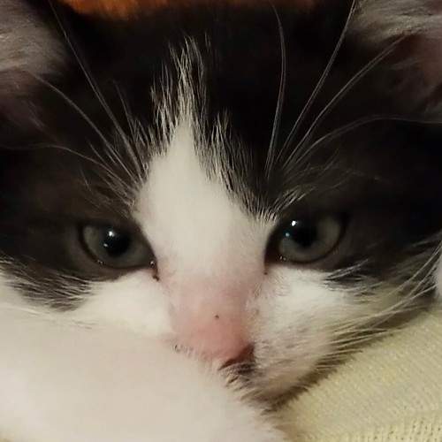 Photo #6637532