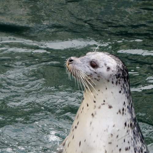 Photo #6637641
