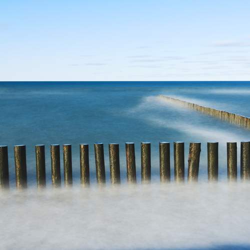 Photo #6637669