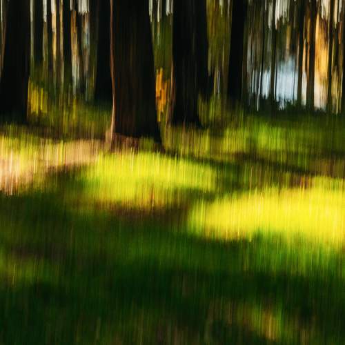 Photo #6637858