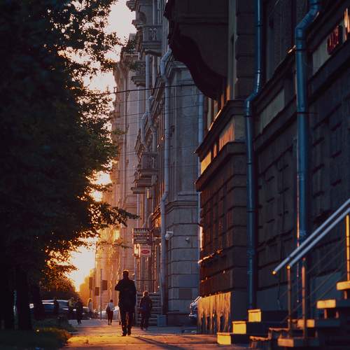 Photo #6638251
