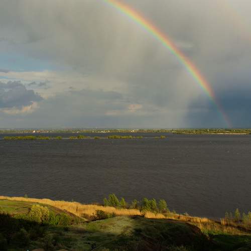 Photo #6638304