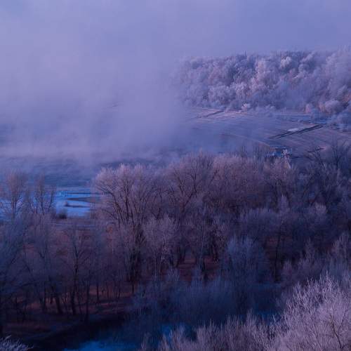 Photo #6638312