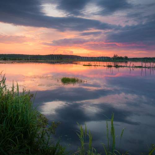 Photo #6638333