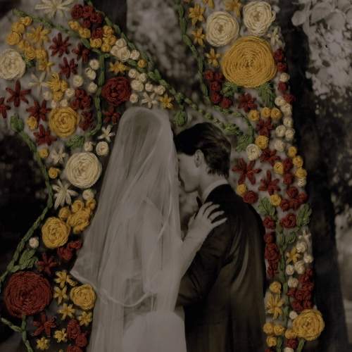 Photo #6638339
