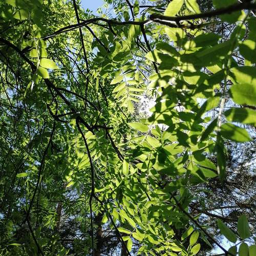 Photo #6638504