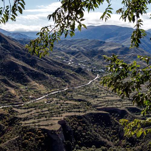 Photo #6638547