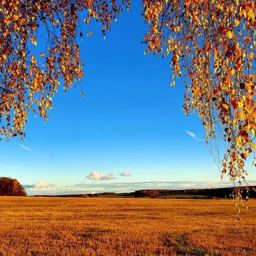 Photo #6638722
