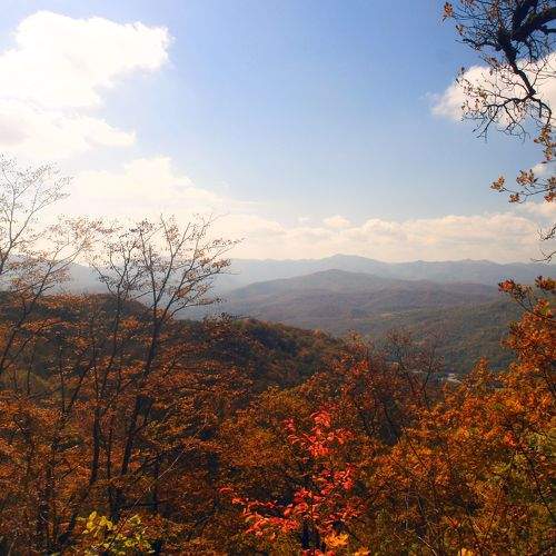 Photo #6639007