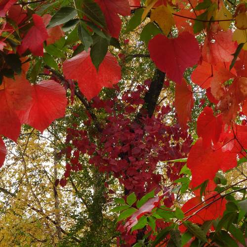 Photo #6639175
