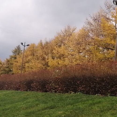 Photo #6639303
