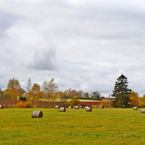 Photo #6639377
