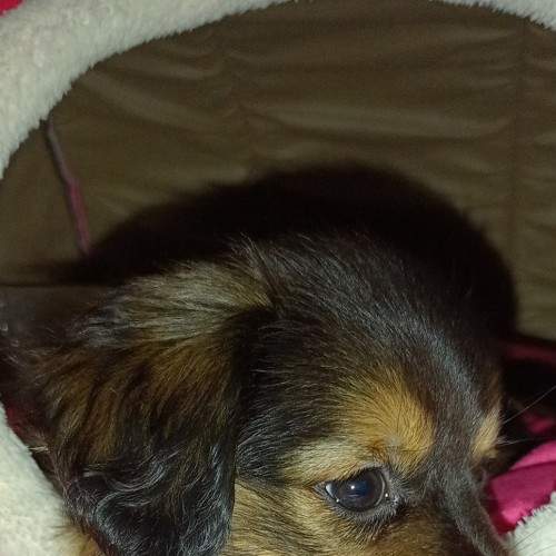 Photo #6639476