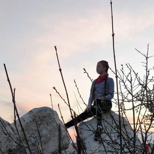 Photo #6639553