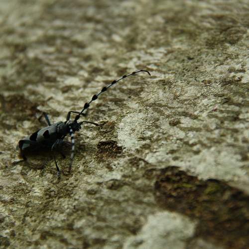 Photo #6640075