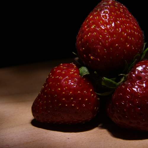 Photo #6640096