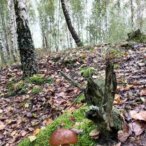 Photo #6640175