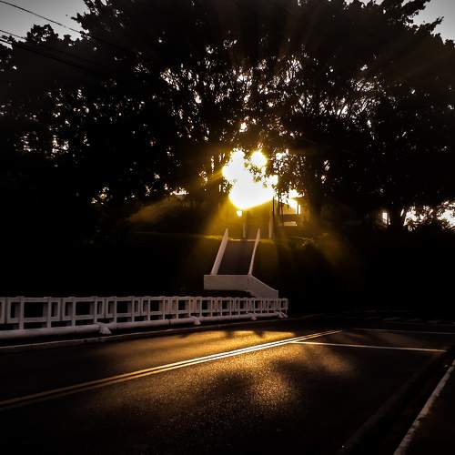 Photo #6640550