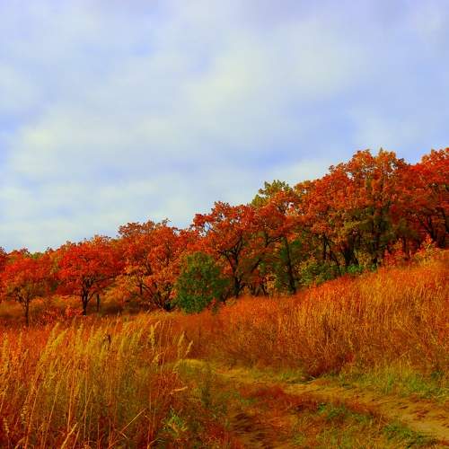 Photo #6640733