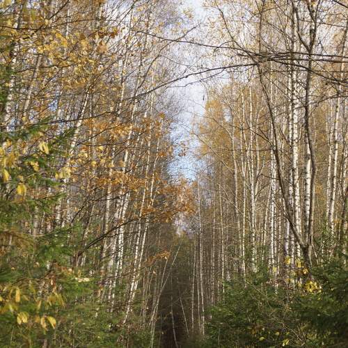 Photo #6640734