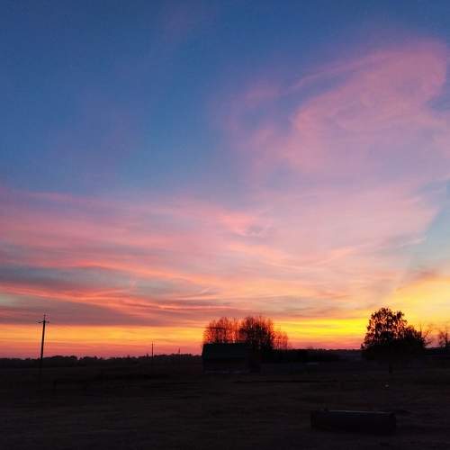 Photo #6640761