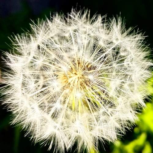 Photo #6640784