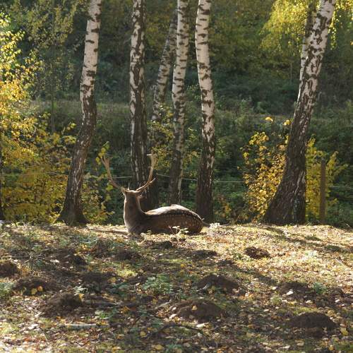 Photo #6640847