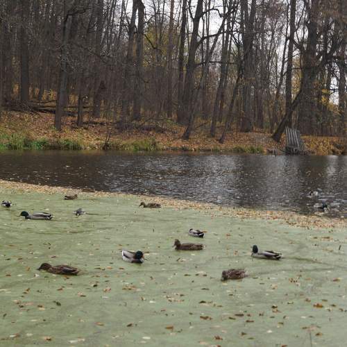 Photo #6640854