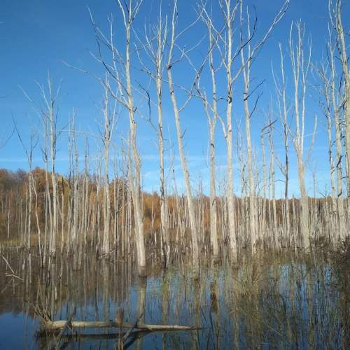 Photo #6640871