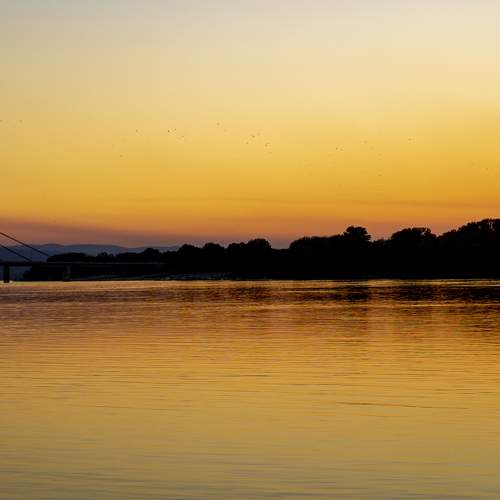 Photo #6641037
