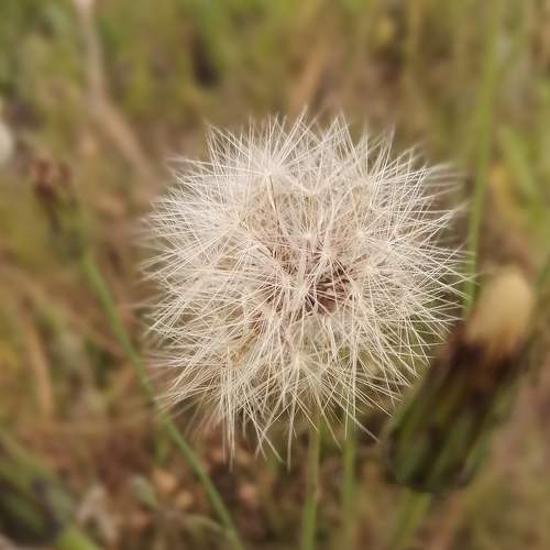Photo #6641371
