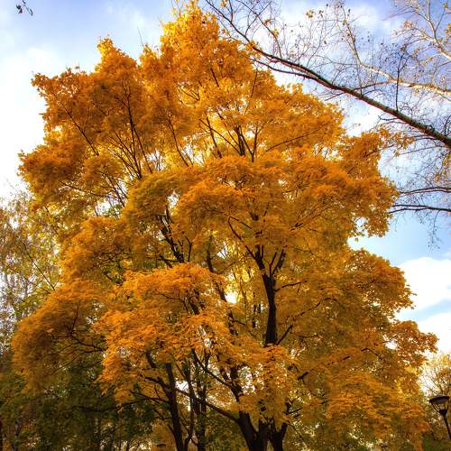 Photo #6641460