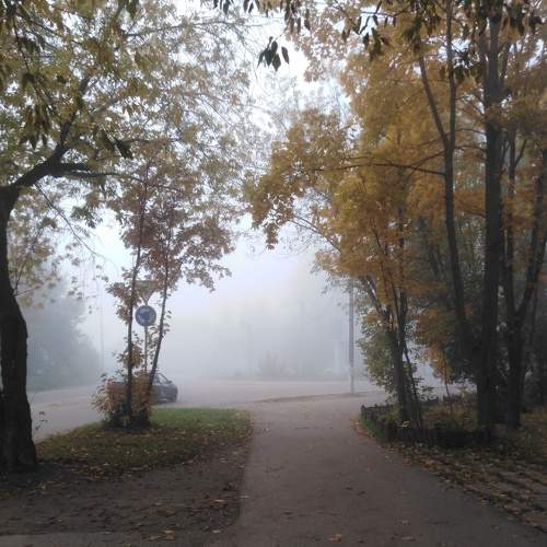 Photo #6641466