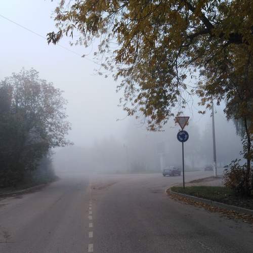 Photo #6641469