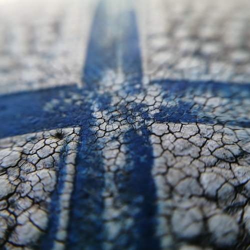 Photo #6641646