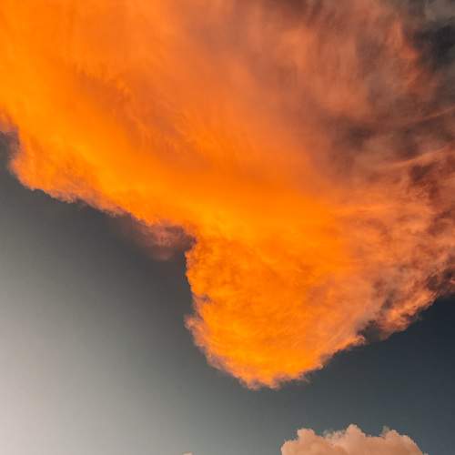 Photo #6641652