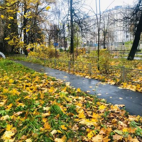 Photo #6641704
