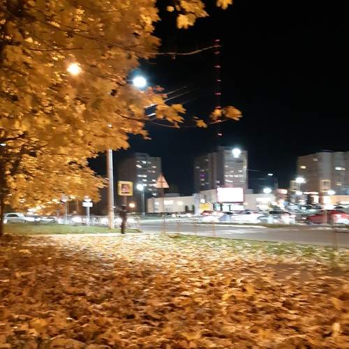 Photo #6641769
