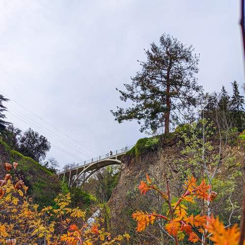 Photo #6642004