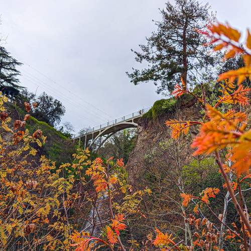 Photo #6642006