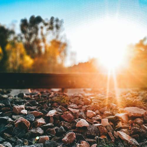Photo #6642013